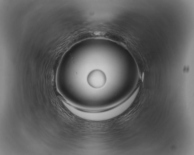 X0000115651443200911101529