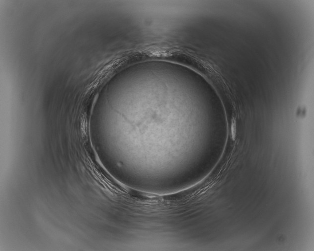 X0000115651444200911101529