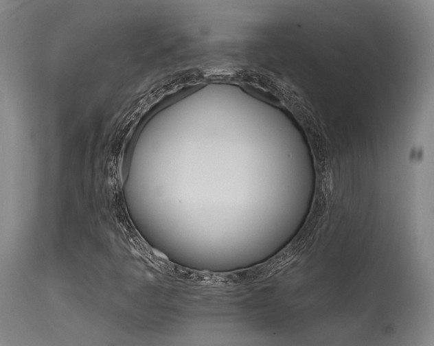 X0000115651445200911101529