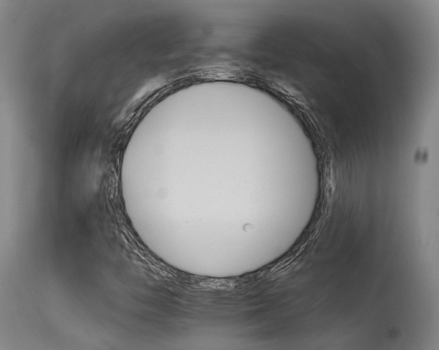 X0000115651446200911101529