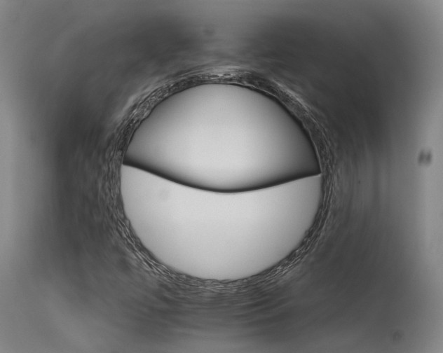 X0000115651447200911101529