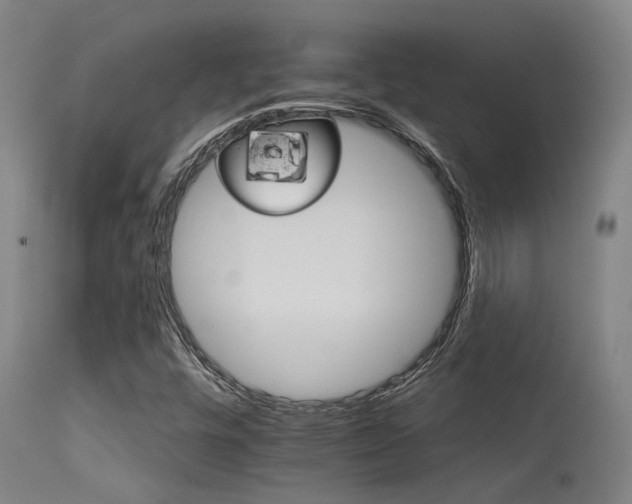 X0000115651448200911101529