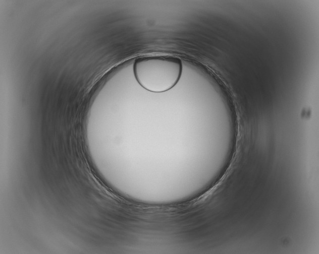 X0000115651449200911101529