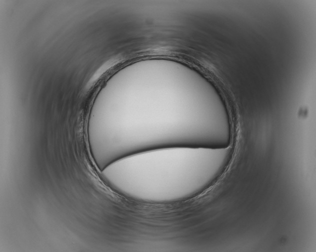 X0000115651450200911101529