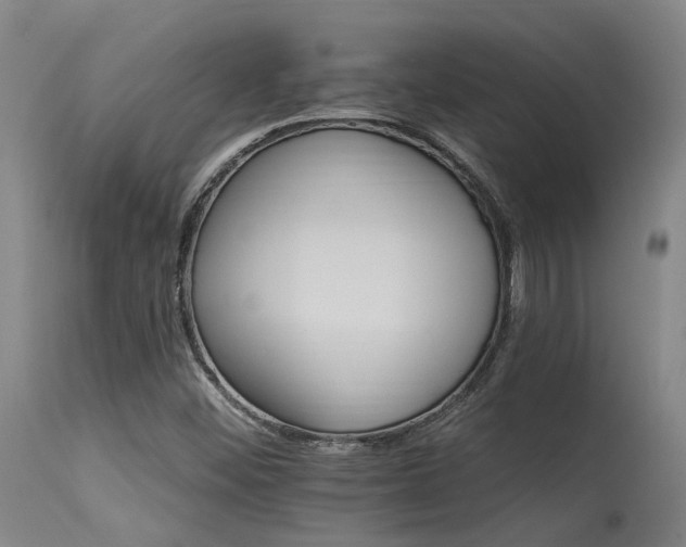 X0000115651452200911101528
