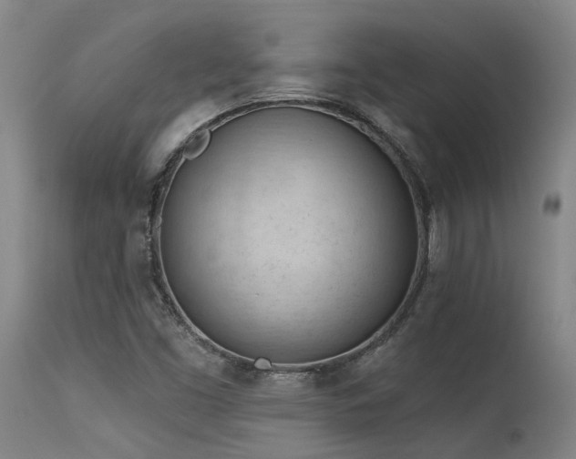 X0000115651453200911101528
