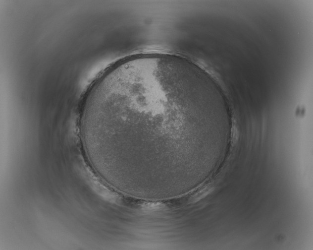 X0000115651454200911101528