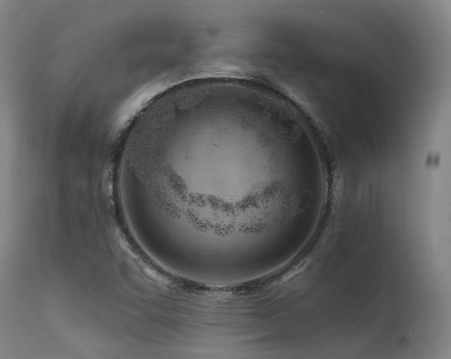 X0000115651455200911101528