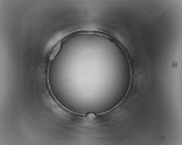 X0000115651456200911101528