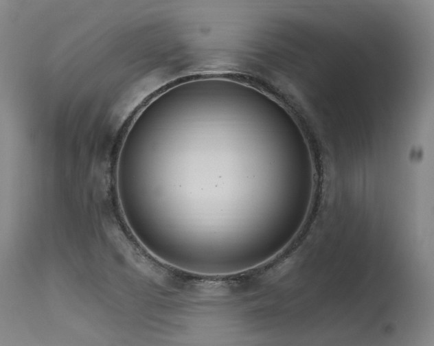 X0000115651457200911101528