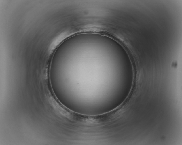 X0000115651459200911101528