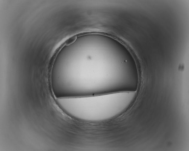X0000115651460200911101528
