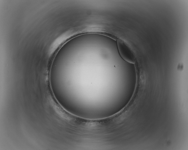 X0000115651461200911101528