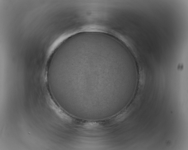 X0000115651462200911101528