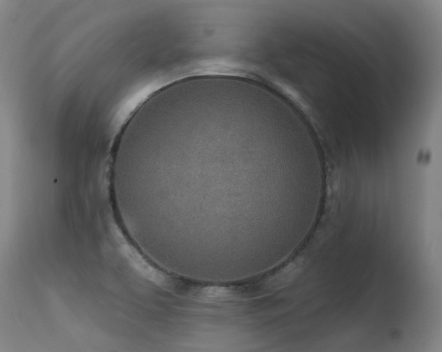 X0000115651463200911101528