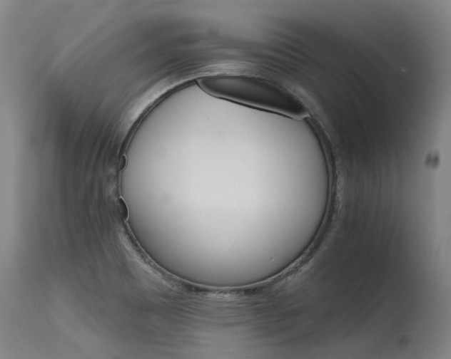 X0000115651465200911101528