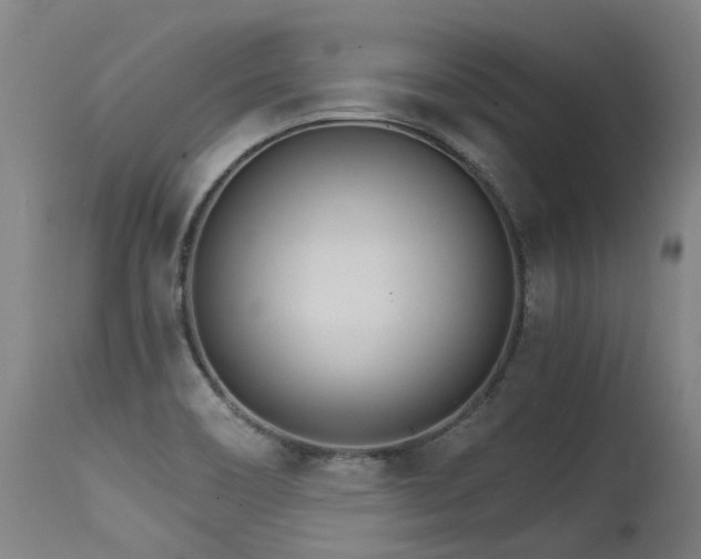 X0000115651466200911101528