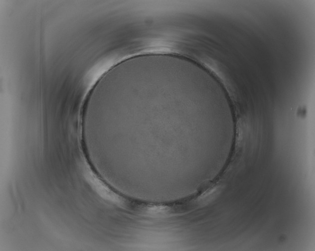 X0000115651467200911101528