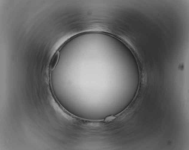 X0000115651468200911101528