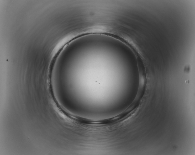 X0000115651469200911101528