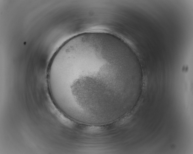 X0000115651470200911101528