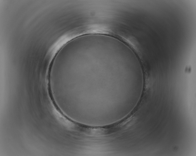 X0000115651471200911101528