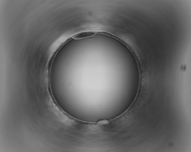 X0000115651472200911101528