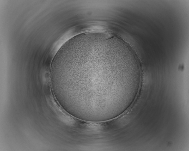 X0000115651473200911101528