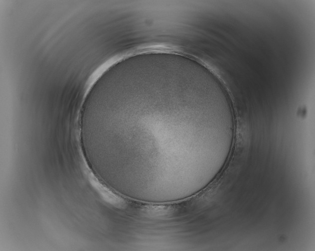 X0000115651474200911101528