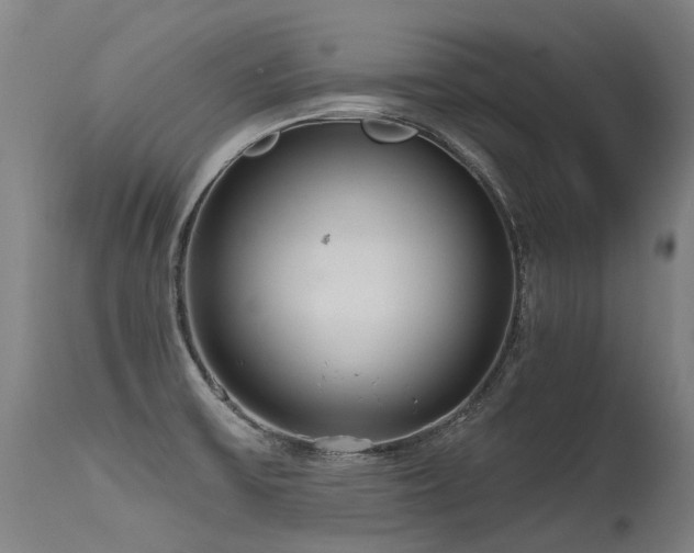 X0000115651475200911101528