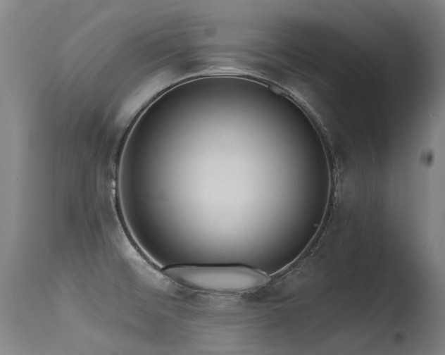 X0000115651476200911101528