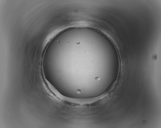 X0000115651477200911101528