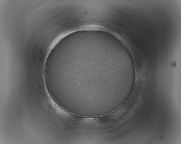 X0000115651478200911101528