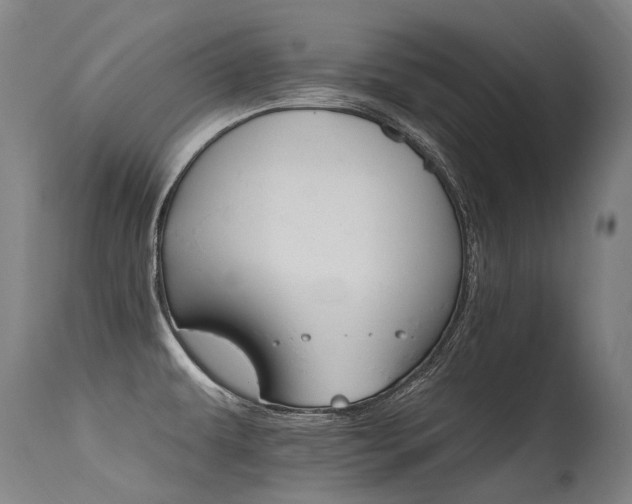 X0000115651479200911101528