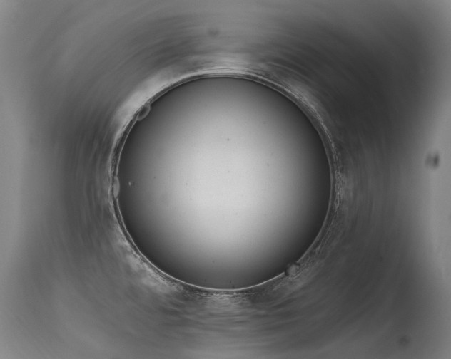 X0000115651480200911101528