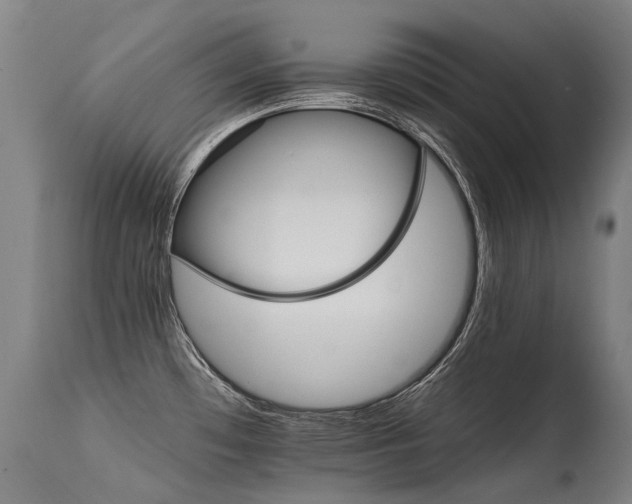 X0000115651481200911101528