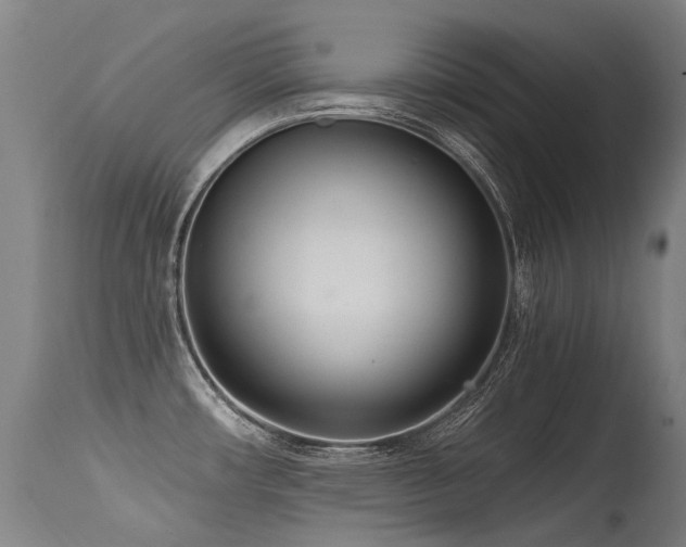 X0000115651482200911101528