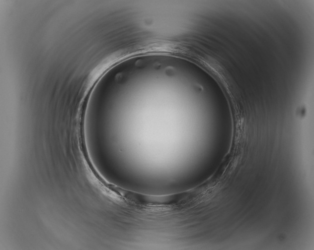 X0000115651483200911101528