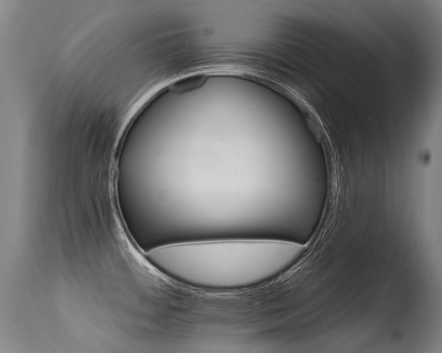 X0000115651484200911101528