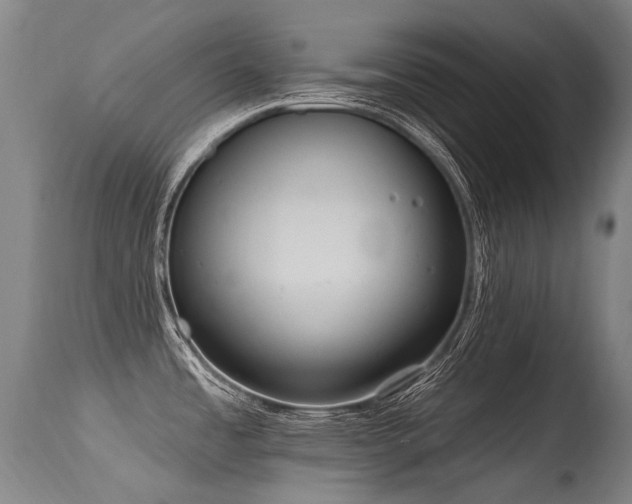 X0000115651485200911101528