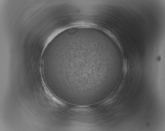 X0000115651486200911101528
