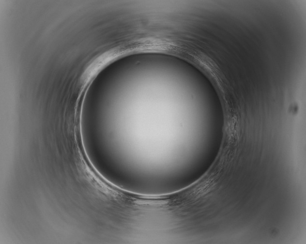 X0000115651487200911101528