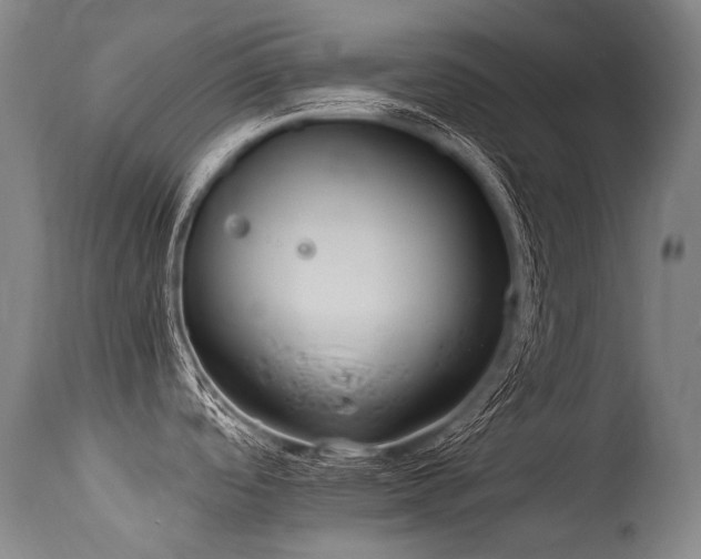 X0000115651488200911101528