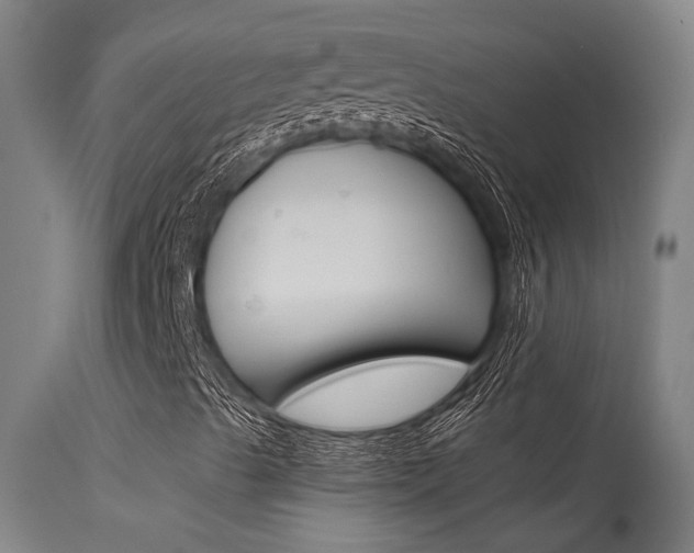 X0000115651489200911101527