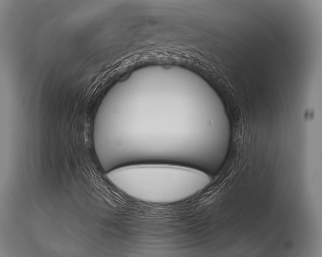X0000115651490200911101527
