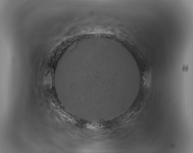 X0000115651493200911101527