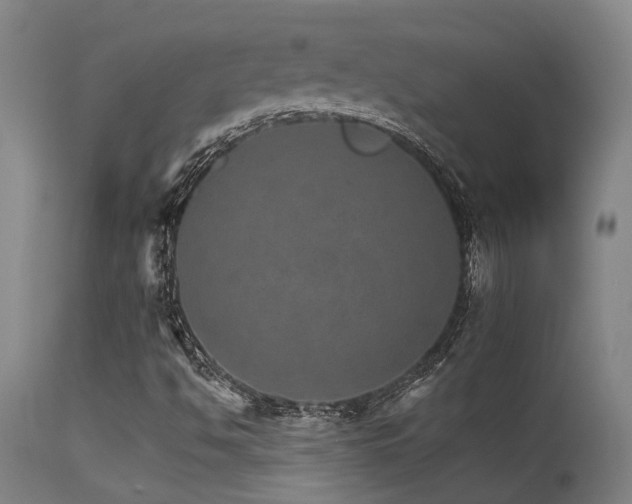 X0000115651494200911101527