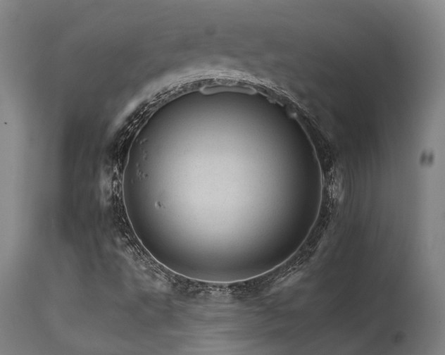 X0000115651495200911101527