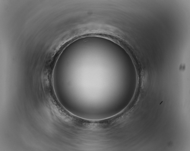 X0000115651497200911101527