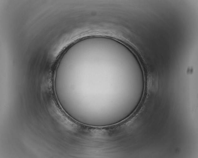 X0000115651498200911101527